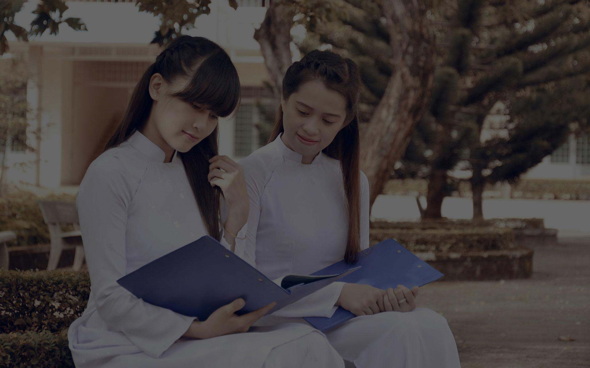 免费ddos网页端